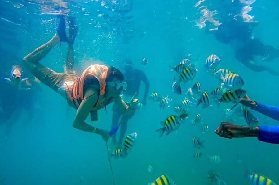 Cartagena: Raccoon Island Snorkel, Mangrove, Photos & Lunch - What this Barú day is really like