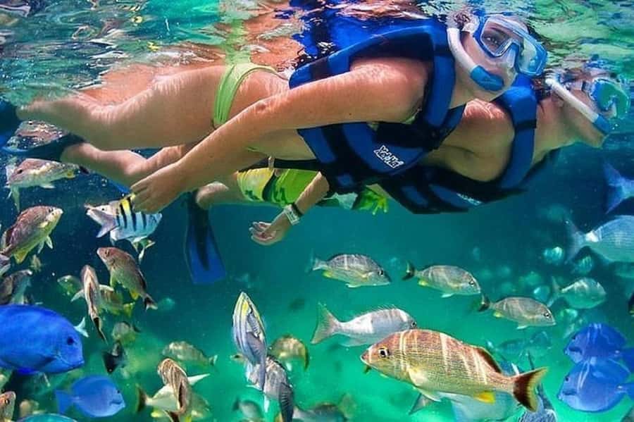 Cartagena: Raccoon Island Snorkel, Mangrove, Photos & Lunch - Barú and the first coastal stop