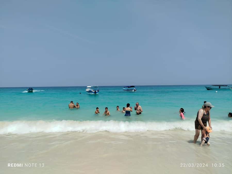 Cartagena: Raccoon Island Snorkel, Mangrove, Photos & Lunch - Group size, guide service, and communication