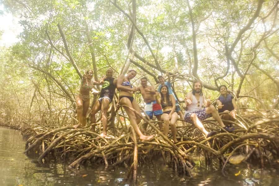 Cartagena: Snorkel, Mangroves and Playa Blanca Tour - Who should book it?