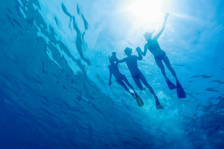 Cartagena: Snorkel, Mangroves and Playa Blanca Tour - What this Cartagena to Baru day is really like