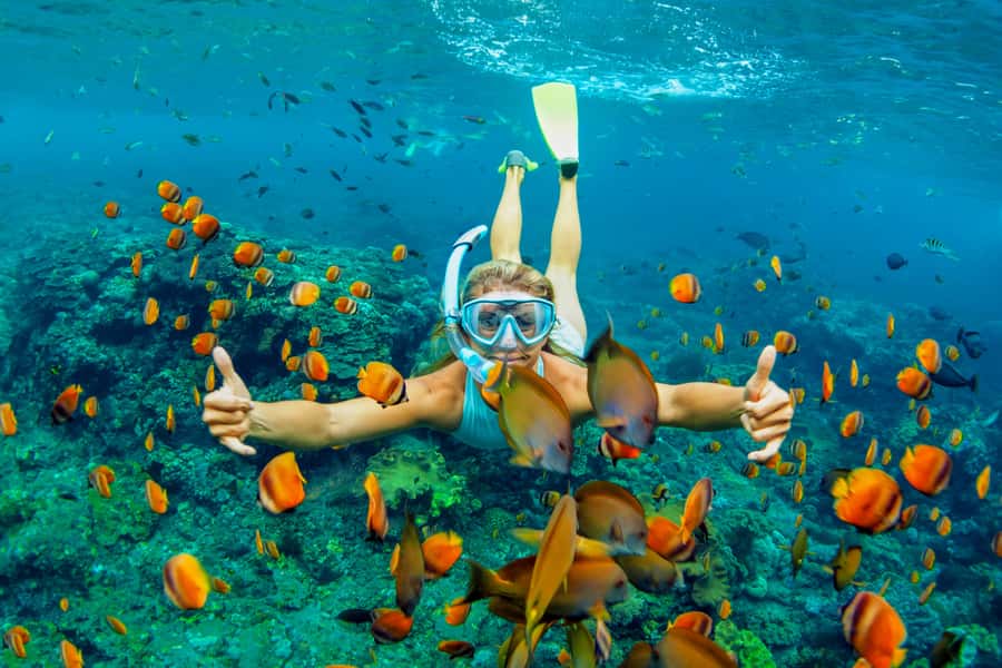 Cartagena: Snorkel, Mangroves and Playa Blanca Tour - Snorkeling over coral, fish, and shifting water conditions