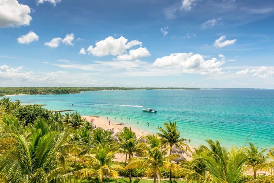 Cartagena: Snorkel, Mangroves and Playa Blanca Tour - Into the mangroves with birds, iguanas, and raccoons