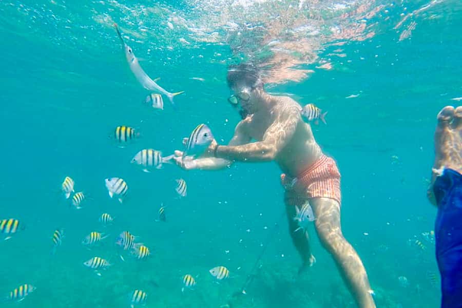 Cartagena: Snorkel, Mangroves and Playa Blanca Tour - Island lunch and the long white-sand break