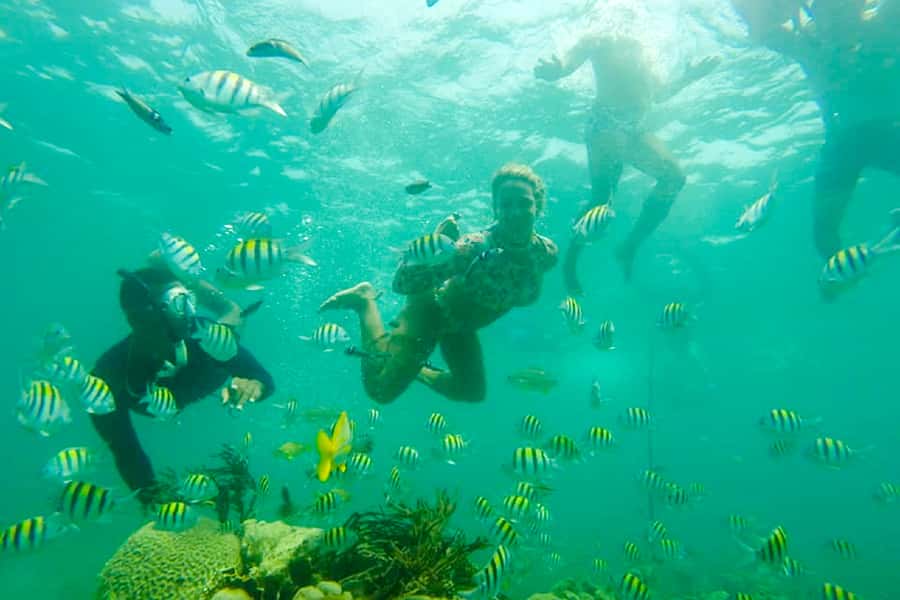 Cartagena: Snorkel, Mangroves and Playa Blanca Tour - Guides, language, and how the day is managed