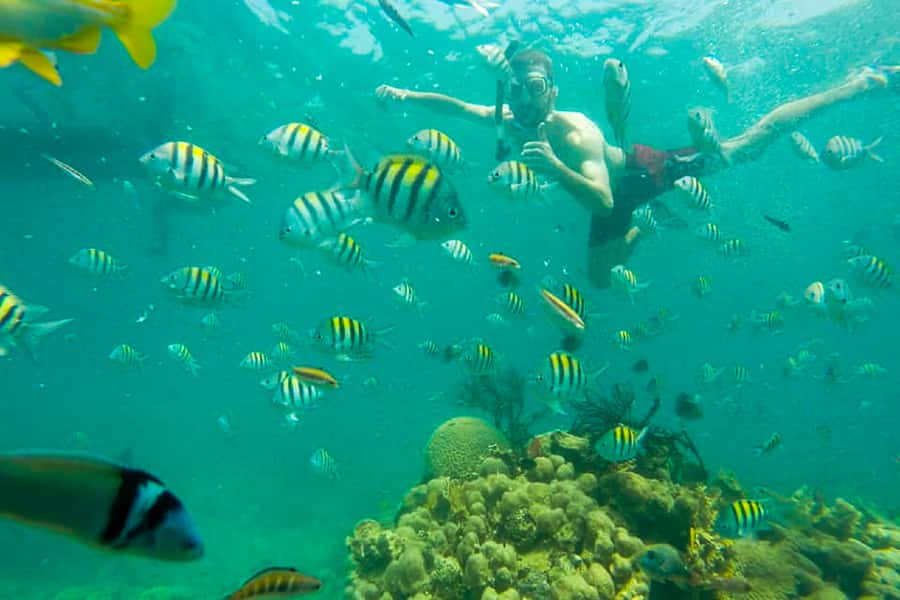 Cartagena: Snorkel, Mangroves and Playa Blanca Tour - Transport, timing, and what to bring
