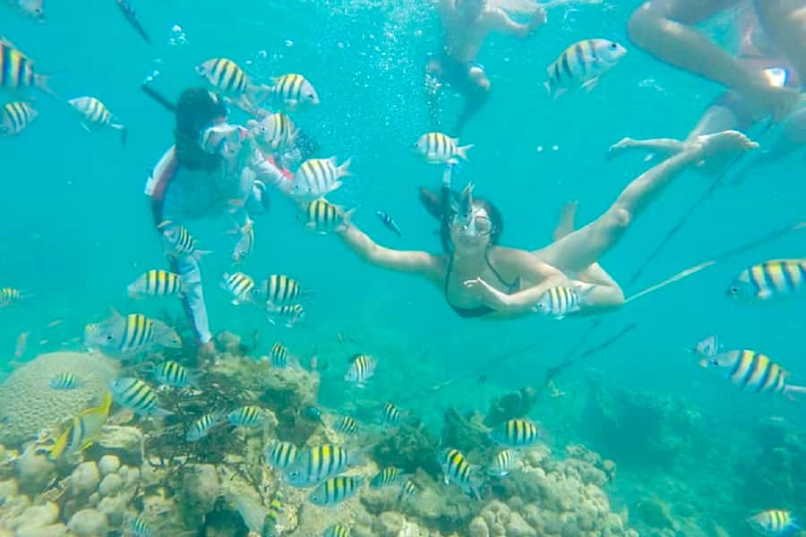 Cartagena: Snorkel, Mangroves and Playa Blanca Tour - The boat ride from Baru to the water