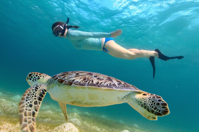Cas Cay - Kayak Hike and Snorkel Adventure - Cas Cay’s short walk and coastal views