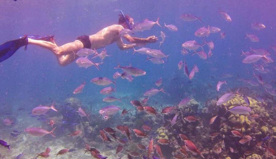 Catalina Island snorkeling Dominican Republic - Why Catalina Island works for a full day