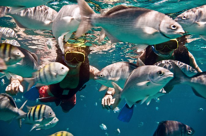 Catamaran and Snorkeling Cruise At Carlisle Bay - Bajan lunch and the open bar