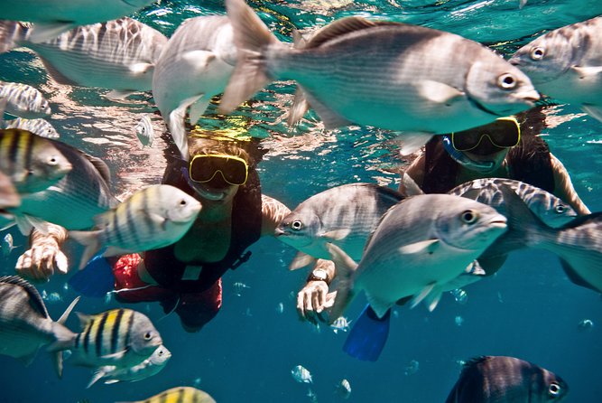 Catamaran and Snorkeling Cruise At Carlisle Bay - Price, timing, and the question of value