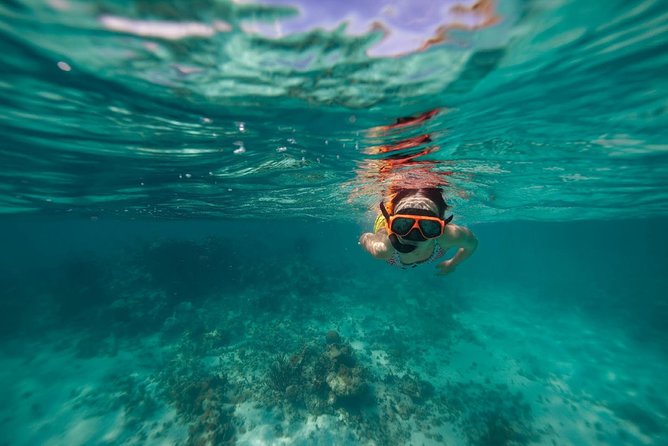 Catamaran and Snorkeling Cruise At Carlisle Bay - Sailing along Barbados with the coast in view