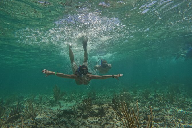 Catamaran Cruise in Riviera Maya With Snorkeling & Beach Club - Who will enjoy this catamaran cruise