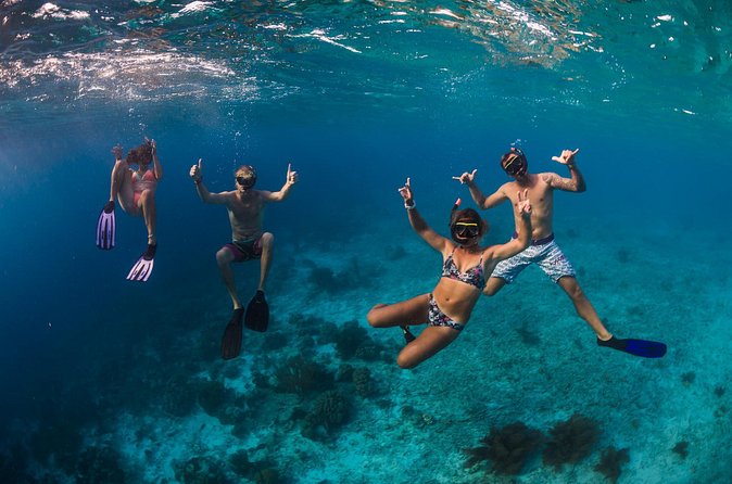 Catamaran Snorkel & BBQ Sail (cruise friendly) - The onboard BBQ lunch