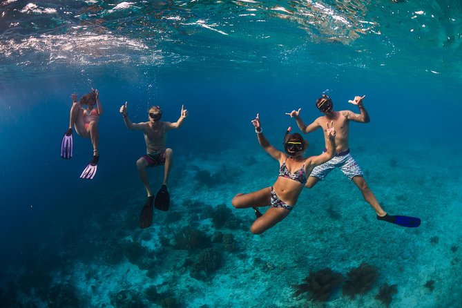 Catamaran Snorkel & BBQ Sail (cruise friendly) - Is $135 a fair price?