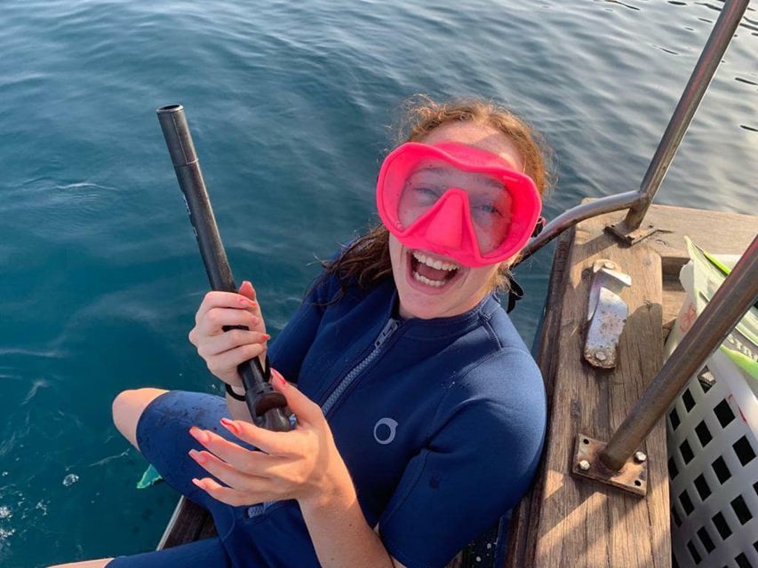 Catania, Isole Ciclopi: Snorkeling Trip - Underwater formations: basalt, rope lava, and pillow lava