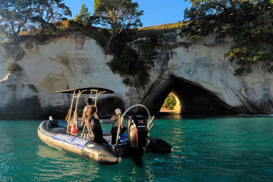 Cathedral Cove Marine Reserve: Snorkeling Boat Trip - Key points to know before booking