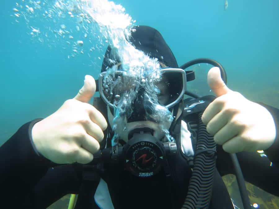 Cathedral Cove Marine Reserve: Snorkeling Boat Trip - Practical preparation for the morning