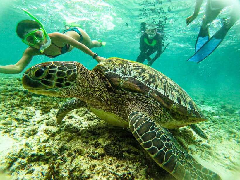 Cebu: Kawasan Canyoning, Moalboal Snorkeling, & Turtles Tour - The one-hour transfer to Kawasan Falls