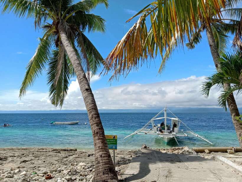 Cebu: Kawasan Canyoning, Moalboal Snorkeling, & Turtles Tour - Slides, jumps, and the Kawasan canyon route