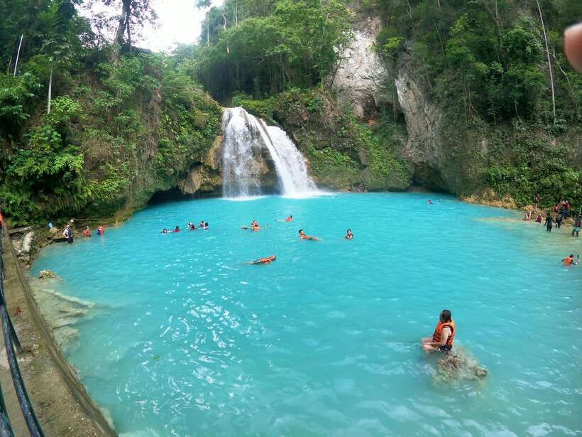 Cebu: Moalboal Sardines Run Snorkel & Kawasan Canyoneering - Key points to know before booking