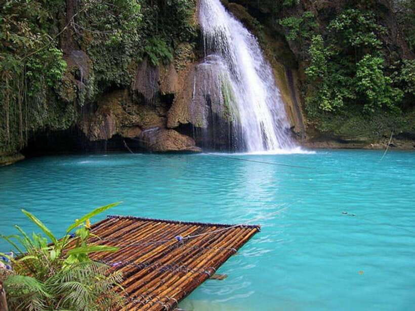 Cebu: Moalboal Sardines Run Snorkel & Kawasan Canyoneering - The timing, pickup areas, and practical effort