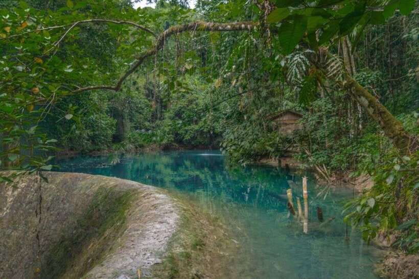 Cebu: Moalboal Sardines & Turtle Snorkeling and Canyoneering - Who should book this Cebu combination?