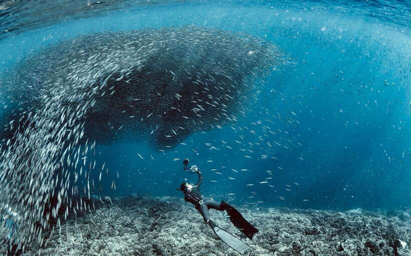 Cebu: Moalboal Sardines & Turtle Snorkeling and Canyoneering - The first practical challenge is the long Cebu morning