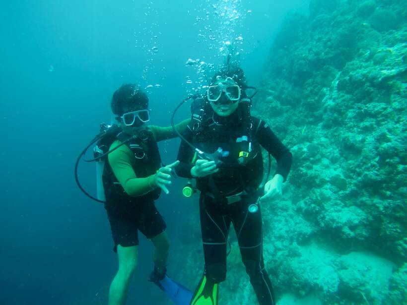 Cebu: Moalboal Scuba Diving with Sardines and Turtle Snorkel - What to expect at Pescador Island