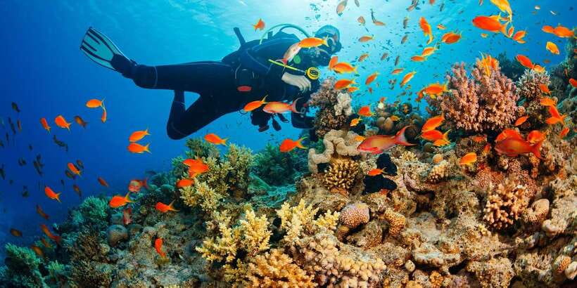 Cebu: Moalboal Scuba Diving with Sardines and Turtle Snorkel - The long road from Cebu to Moalboal