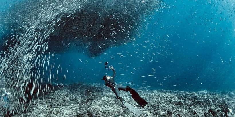 Cebu: Moalboal Scuba Diving with Sardines and Turtle Snorkel - What the $115 price really covers
