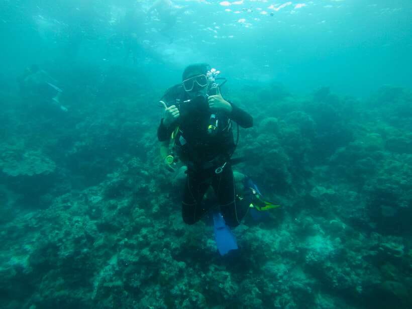 Cebu: Moalboal Scuba Diving with Sardines and Turtle Snorkel - First-time scuba participants and licensed divers