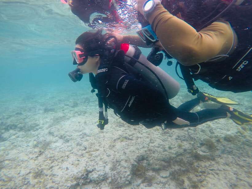 Cebu: Moalboal Scuba Diving with Sardines and Turtle Snorkel - Who should book this Moalboal outing