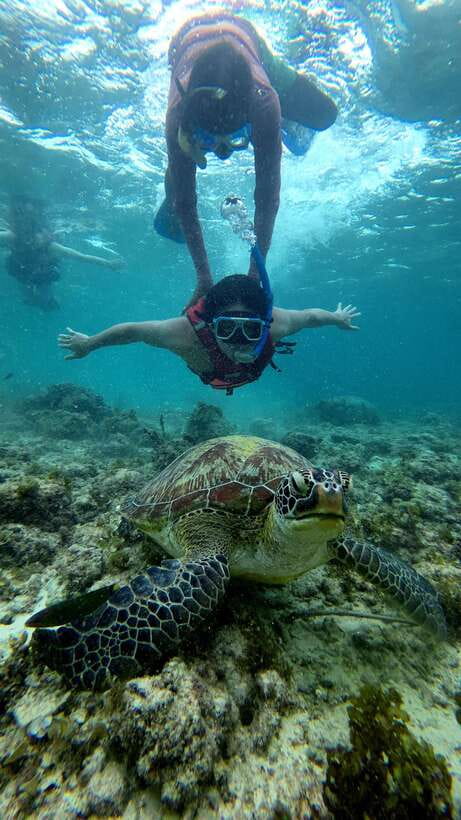 Cebu: Moalboal Snorkeling, Mantayupan Falls & ATV Adventure - Who should book this tour