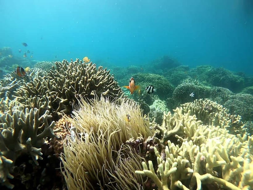Cebu: Moalboal Snorkeling, Mantayupan Falls & ATV Adventure - Mantayupan Falls and the question of swimming