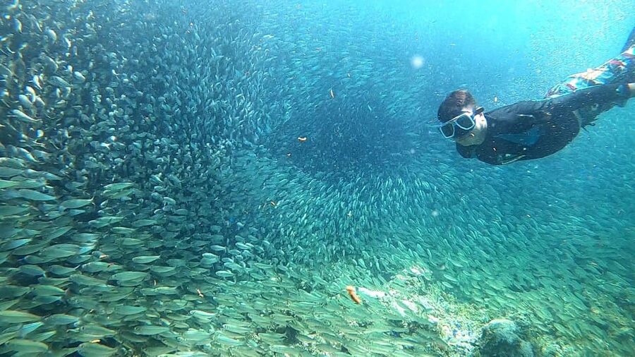 Cebu: Moalboal Snorkeling, Mantayupan Falls & ATV Adventure - Guides, group size, and what the private format means