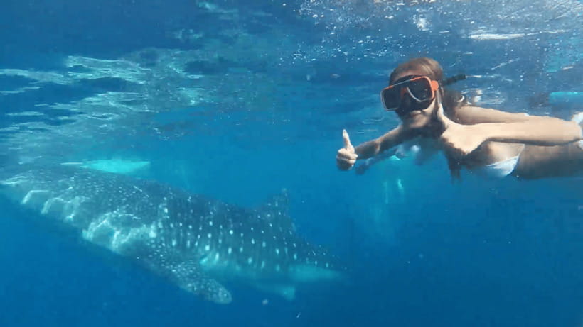 Cebu: Oslob Whale Shark and Moalboal Snorkeling Tour - Breakfast after the first water stop