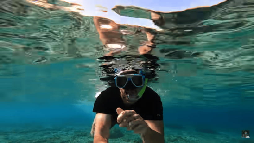 Cebu: Oslob Whale Shark and Moalboal Snorkeling Tour - Practical ways to make the day better