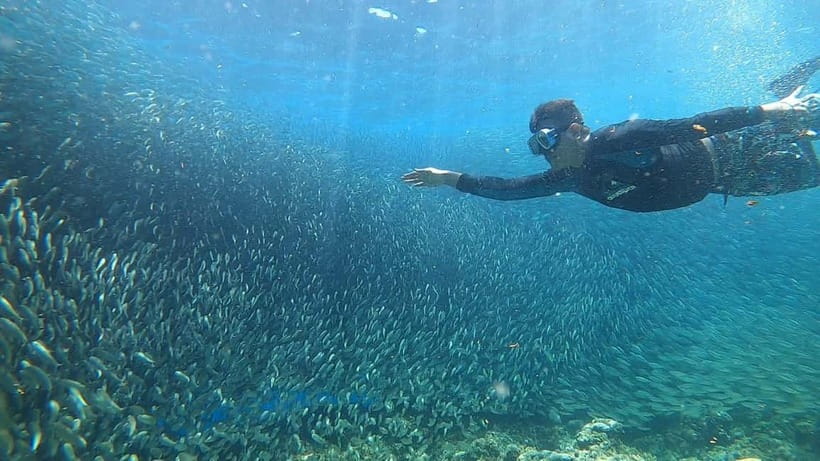 Cebu: Sardine Run Snorkeling, Mantayupan Falls & ATV Thrills - A full Cebu day built around the sardine run