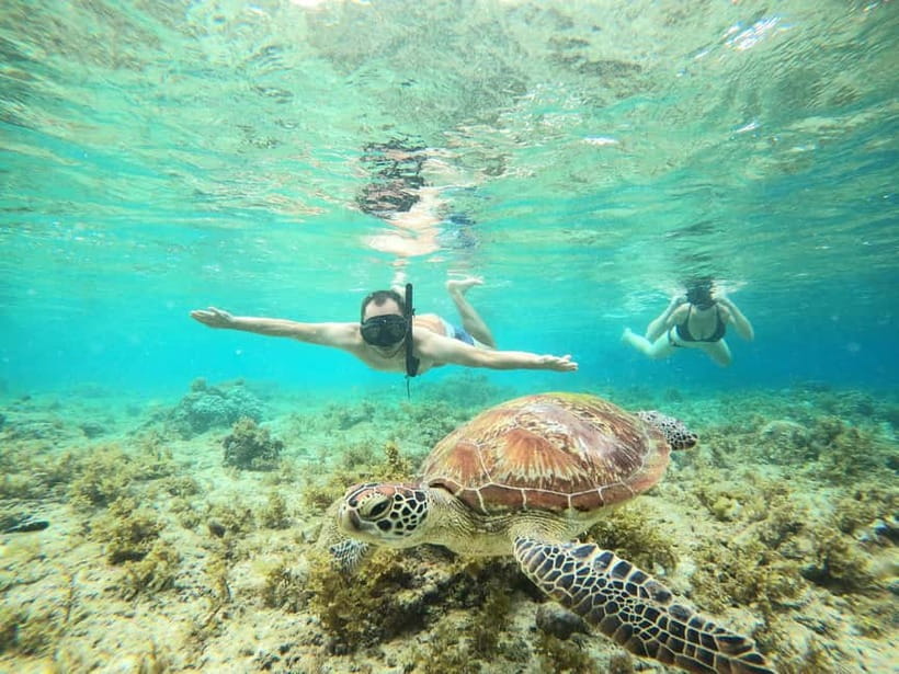 Cebu: Sardine Run Snorkeling, Mantayupan Falls & ATV Thrills - Moalboal’s silver wall of sardines