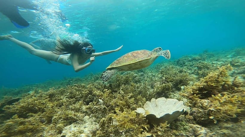 Cebu: Sardine Run Snorkeling, Mantayupan Falls & ATV Thrills - Who should book this Cebu combination tour?