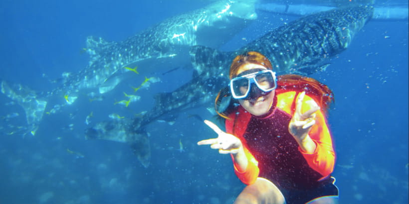 Cebu: Sumilon Sand Bar, Whale Sharks & Sardines Snorkeling - A quick stop at Sumilon Sand Bar