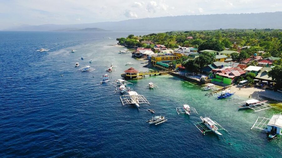 Cebu: Whale Shark, Monkey Sanctuary, & Moalboal Snorkel Tour - Food and a useful break in Oslob