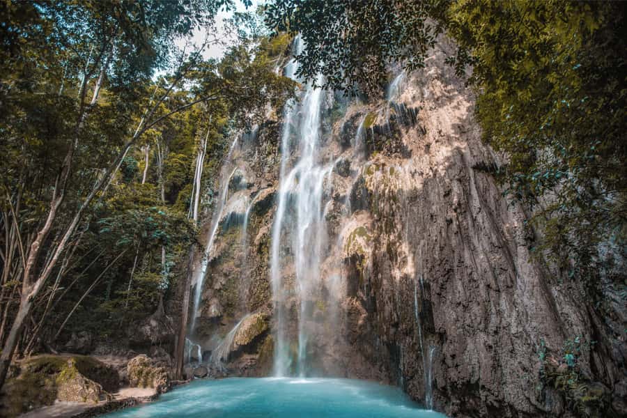 Cebu: Whale Shark, Monkey Sanctuary, & Moalboal Snorkel Tour - The early road to Oslob