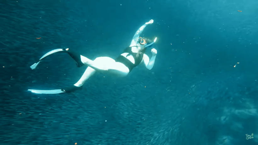 Cebu: Whale Shark Oslob and Moalboal Snorkeling Adventure - The road to Moalboal