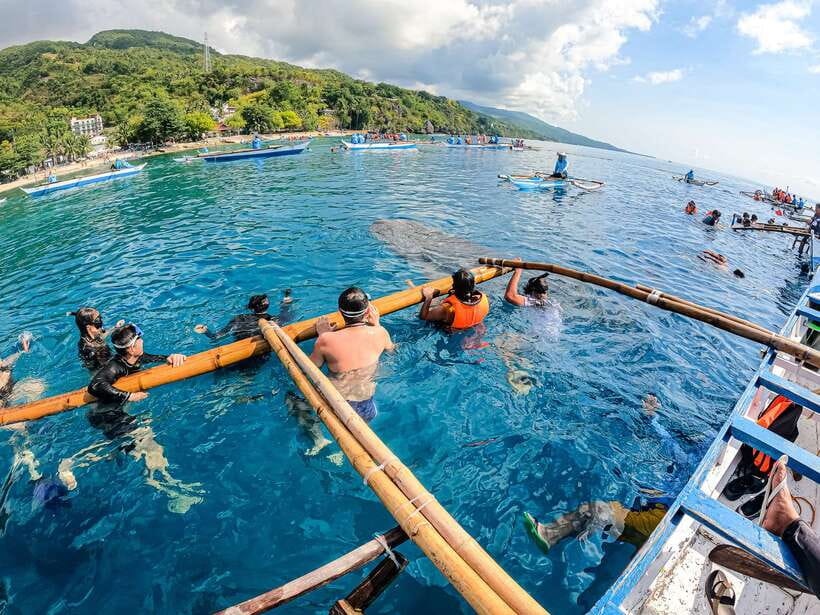 Cebu: Whale Shark Snorkeling & Kawasan Canyoning Tour - The two-hour transfer toward Kawasan Falls
