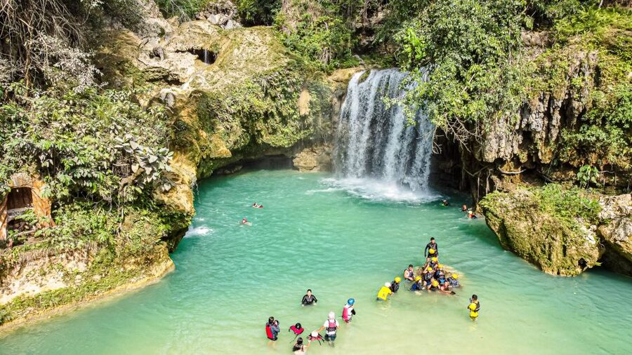 Cebu: Whale Shark Snorkeling & Kawasan Canyoning Tour - What the guides and group size add