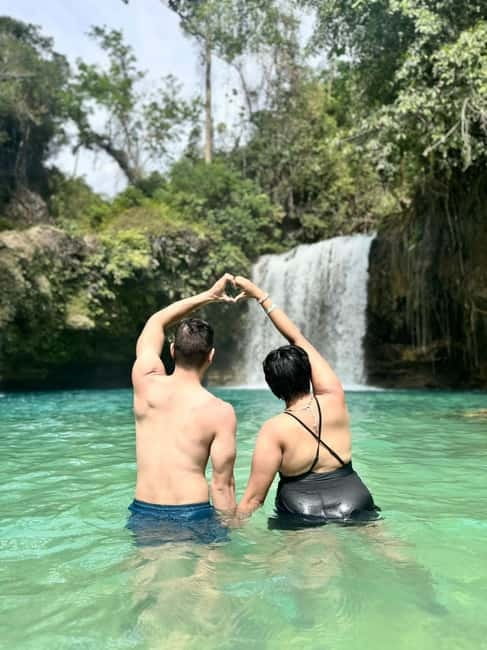 Cebu: Whale Sharks, Kawasan Falls, & Sardines Run Snorkeling - Moalboal and the sardine run