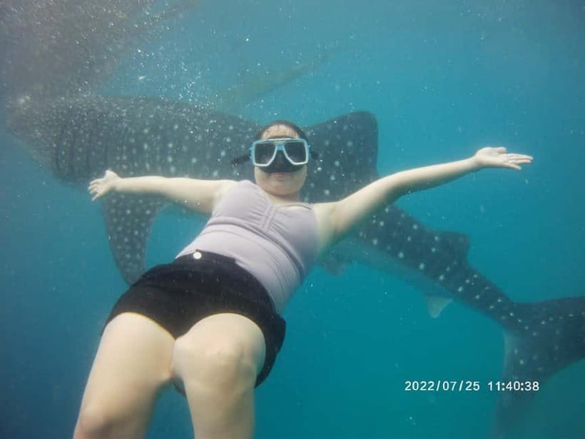 Cebu: Whale Sharks, Kawasan Falls, & Sardines Run Snorkeling - Is the $135 price fair?