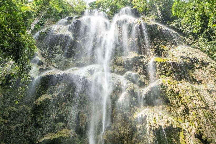 Cebu: WhaleShark , Tumalog Falls, & Sardine Run Snorkeling - Breakfast after the whale sharks